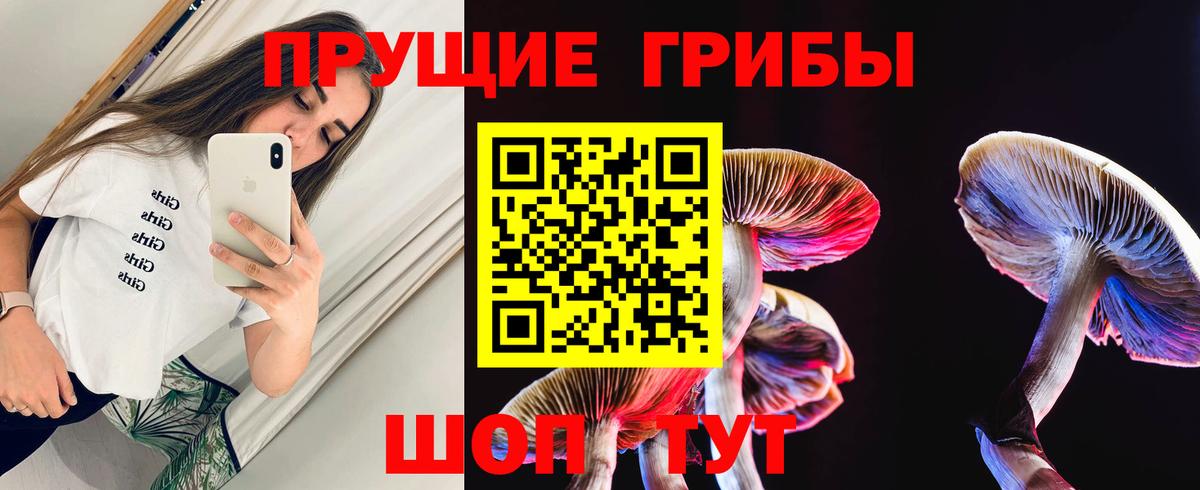 Псилоцибиновые грибы MAGIC MUSHROOMS Гусев